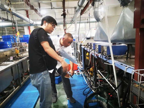 規(guī)范廠中廠，服務(wù)小微園 樂(lè)清翁垟街道多措并舉繃緊企業(yè)生產(chǎn)安全弦