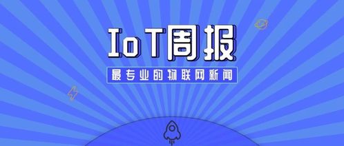 物聯(lián)網(wǎng) 技術(shù)、服務(wù)與應(yīng)用的全景生態(tài)